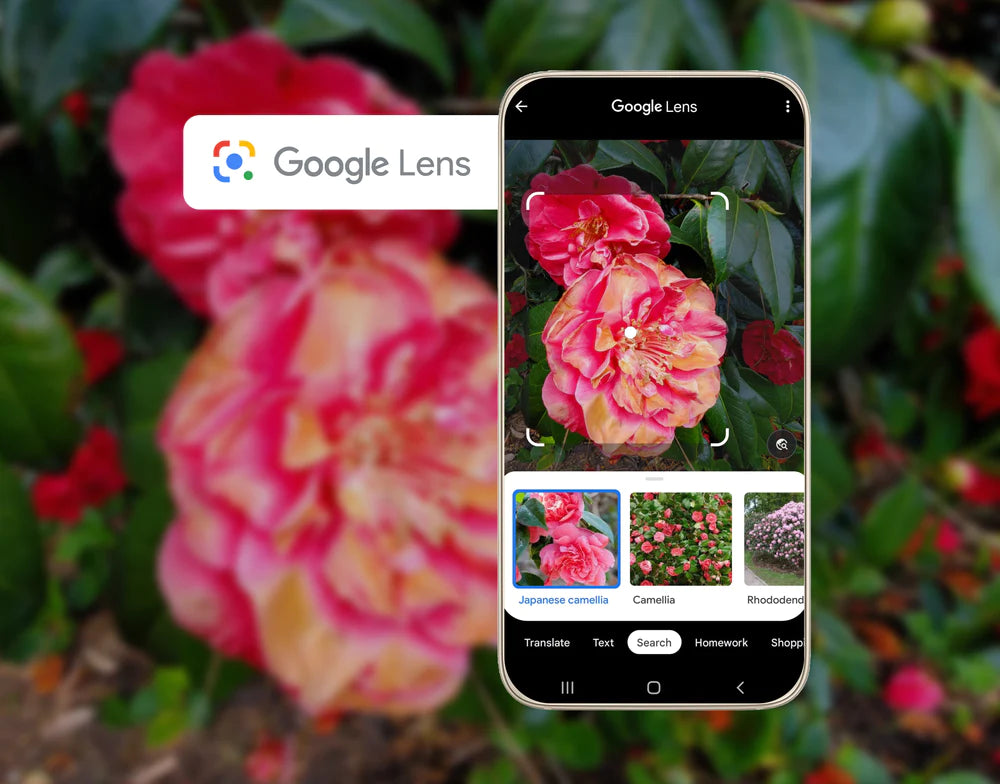 What Can Google Lens Do